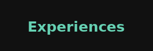 experiences_category_teal_modern_font